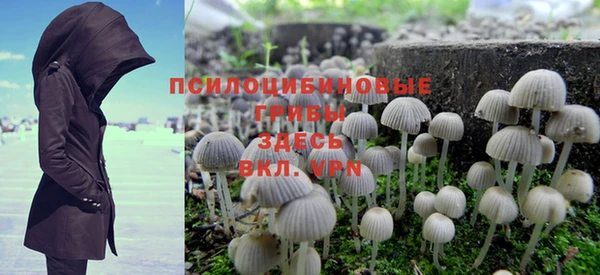 mdpv Киреевск