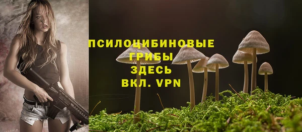 mdpv Киреевск
