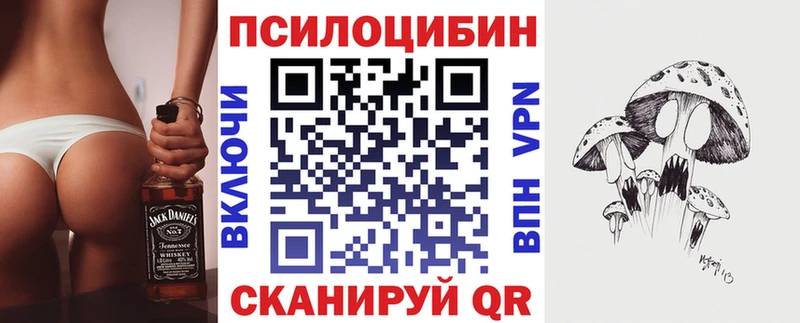 Галлюциногенные грибы MAGIC MUSHROOMS  Купить где  Дальнереченск 